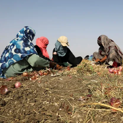 الحوار السوداني.. هل ينقذ ما يمكن إنقاذه؟