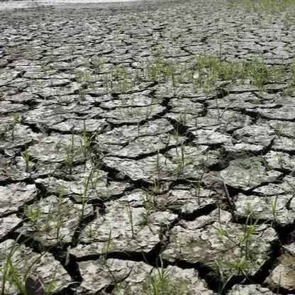 دراسة: صيف 2023 الأكثر سخونة منذ 2000 عام