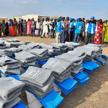 أميركا تحث مجلس الأمن على التحرك لتوصيل مساعدات إلى السودان من تشاد