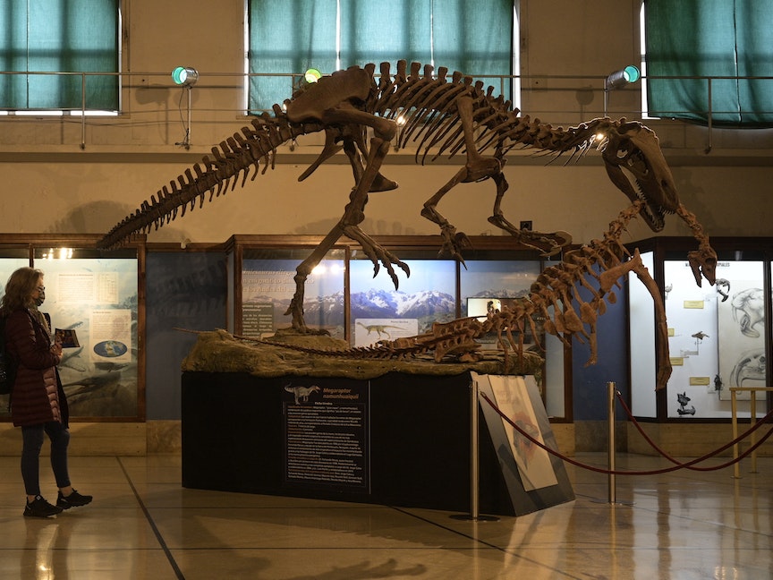 الأرجنتين.. كشف أسرار ديناصور عاش قبل 70 مليون سنة