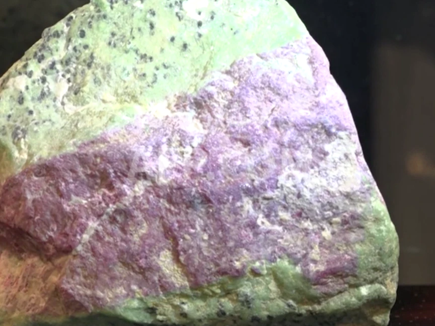 حجر الياقوت النادر برج الحمل في فندق بدبي - 16 أبريل 2022 - AFP