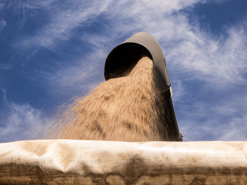 أردوغان يكشف ملامح اقتراح يلبي "طلبات روسية" بشأن اتفاق الحبوب