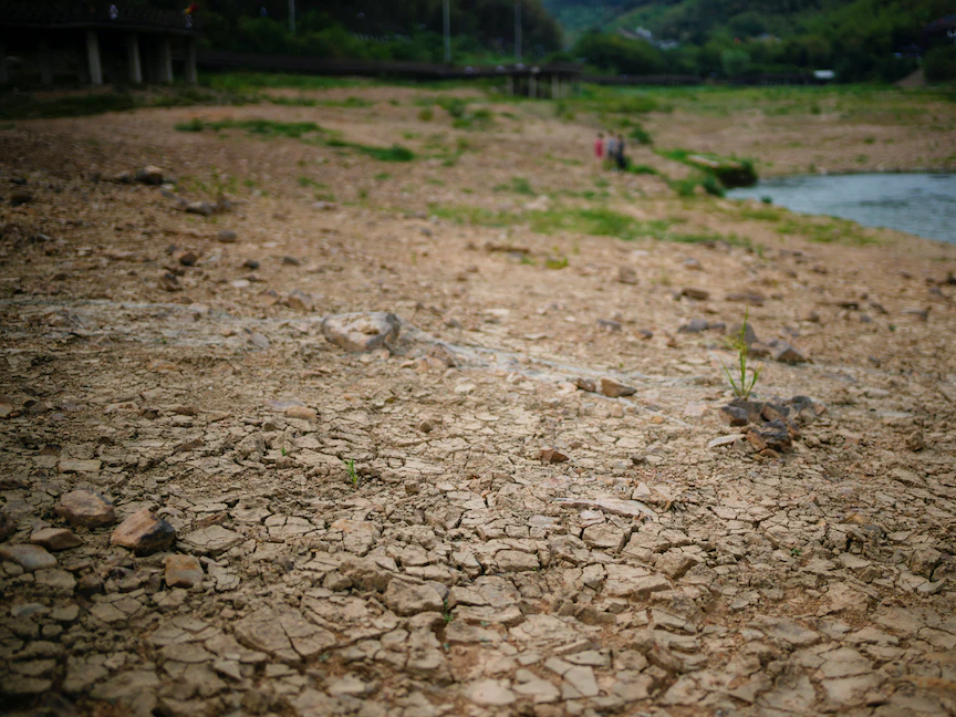 جفاف المياه والجداول في الصين بس ارتفاع درجات الحرارة العالية - REUTERS