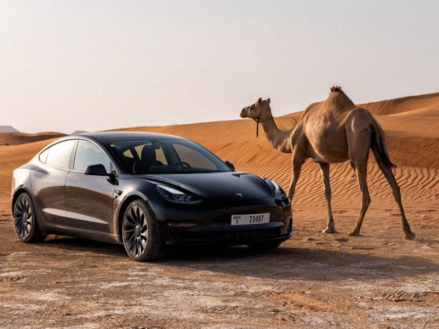 تسلا تختبر سياراتها في صحراء دبي - Instagram/Teslamotors