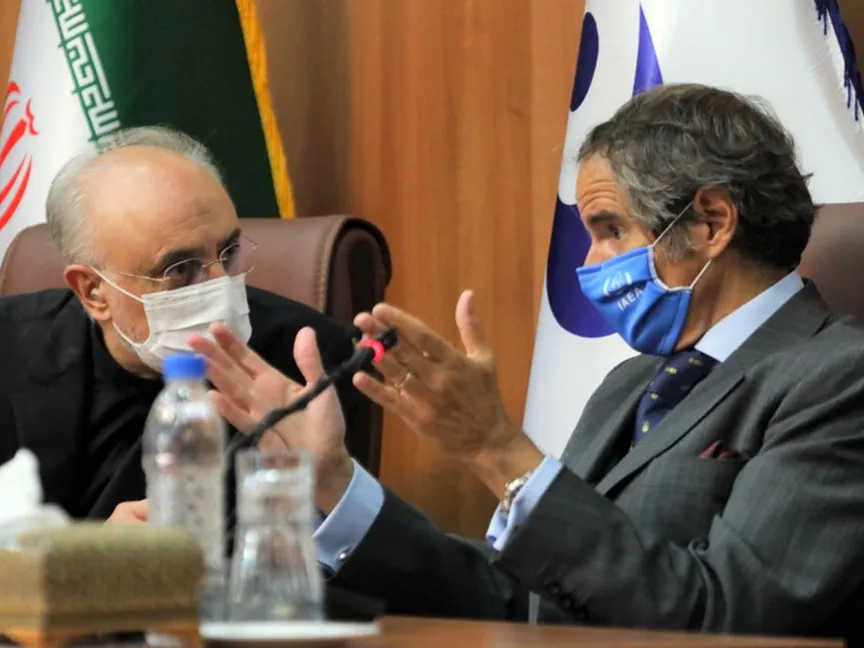 مدير الوكالة الدولية للطاقة الذرية رافاييل غروسي (يمين) ورئيس المنظمة الإيرانية للطاقة الذرية علي أكبر صالحي خلال مؤتمر صحافي في طهران - 25 أغسطس 2020 - AFP