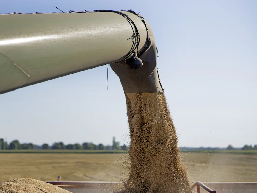 تساقط حبوب من حصّادة إلى شاحنة أثناء حصاد القمح في أوكرانيا - 10 أغسطس 2017 - Bloomberg