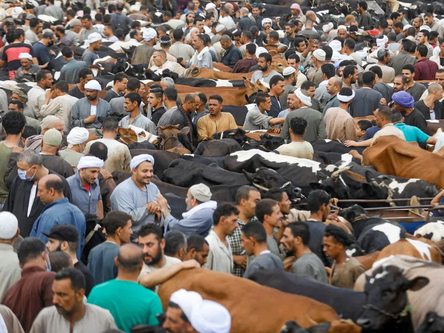 منظر عام لسوق الماشية في قرية المناشي بالجيزة قبيل عيد الأضحى -23 يوليو 2020 - REUTERS