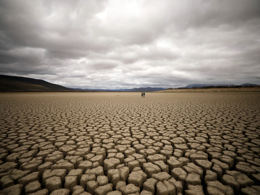 ظاهرة الجفاف تخيم على قطاع الزراعة بالمغرب - REUTERS