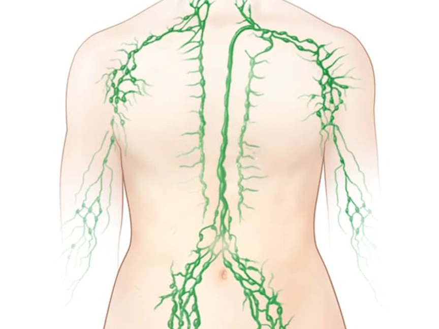 صورة توضيحة لمناطق توزيع العقد الليمفية في جسم الإنسان. - مايو كلينيك