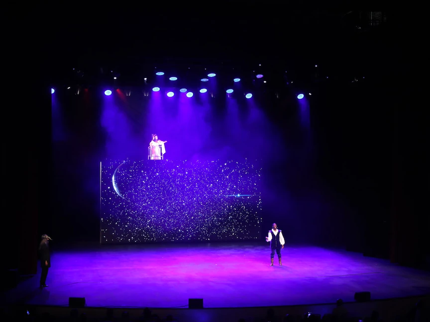 جانب من أحد عروض مهرجان أيام قرطاج المسرحية 22 - Facebook.com/@M.AFFAIRES.CULTURELLES