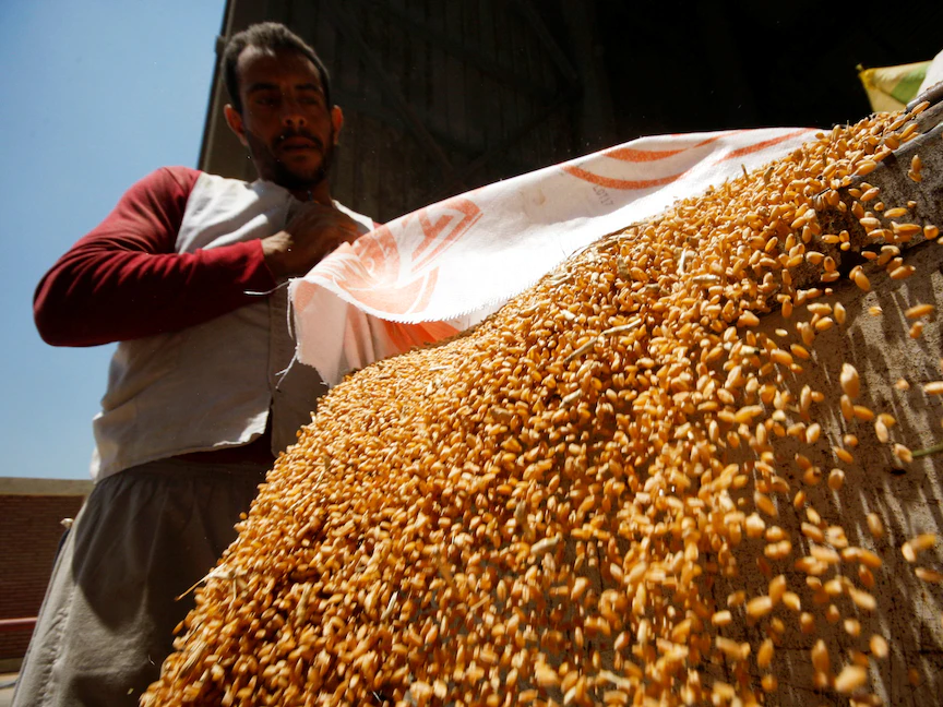 عامل يجمع القمح في صوامع حبوب بنها بمحافظة القليوبية، مصر. 15 مايو 2022. - REUTERS