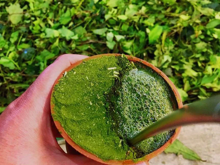 المتة.. المشروب الأشهر في دول أميركا اللاتينية - الشرق