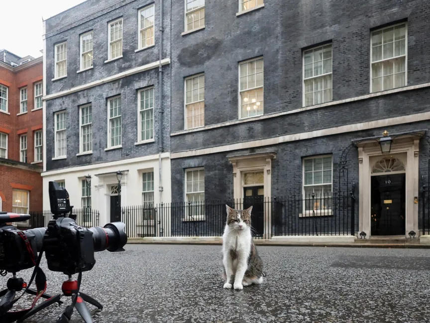 القط لاري أمام مقر رئاسة الوزراء البريطانية 10 داونينج ستريت. لندن. في 15 يناير 2025 - Reuters