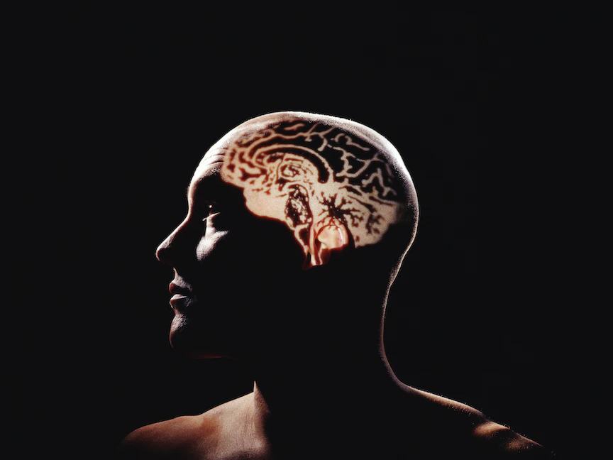 صورة توضيحية لدماغ الإنسان - Getty Images