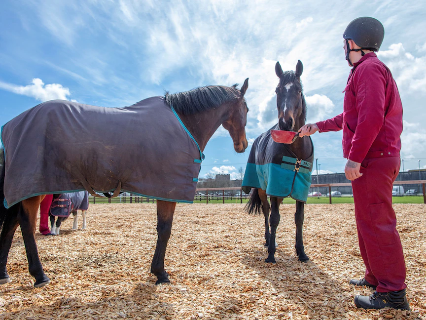 سجين يطعم حصانين في مركز الخيول "خيول الأمل" في سجن كاستليريا، في كو روسكومون أيرلندا. 20 أبريل 2022 - AFP
