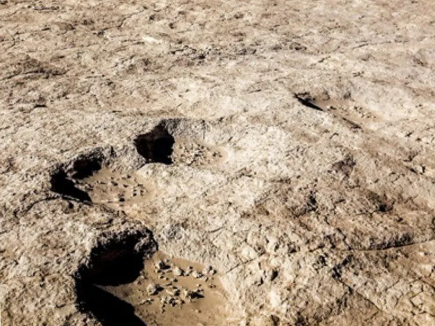 هيئة التراث في السعودية تكتشف أول دليل علمي لوجود الإنسان على أرض الجزيرة العربية - "تويتر"