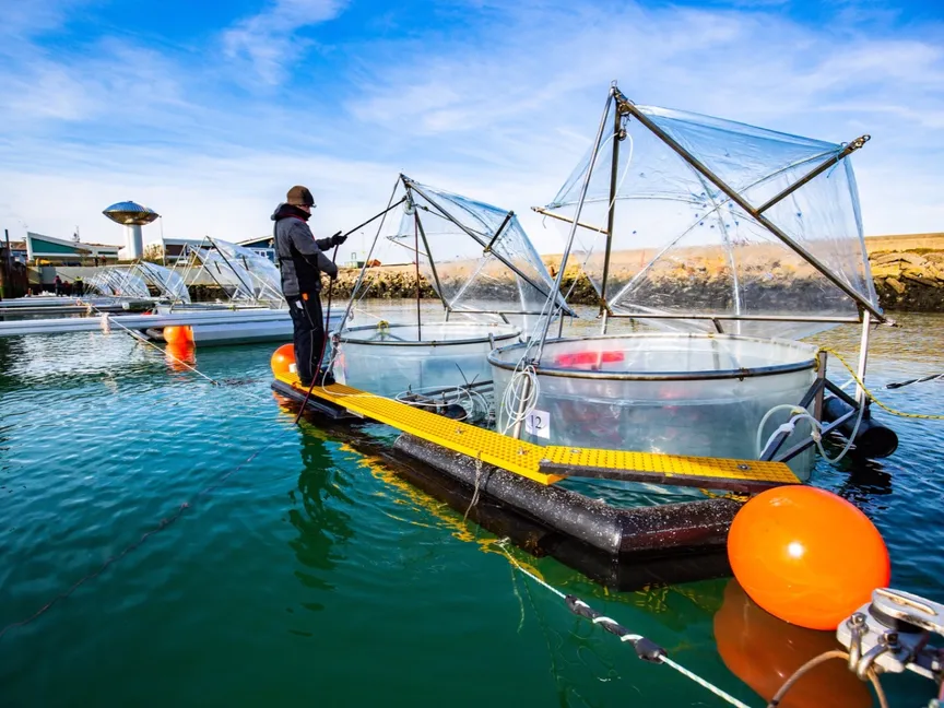 هل يمكن أن تصلح المحيطات ما أفسده البشر؟ دراسة تجيب