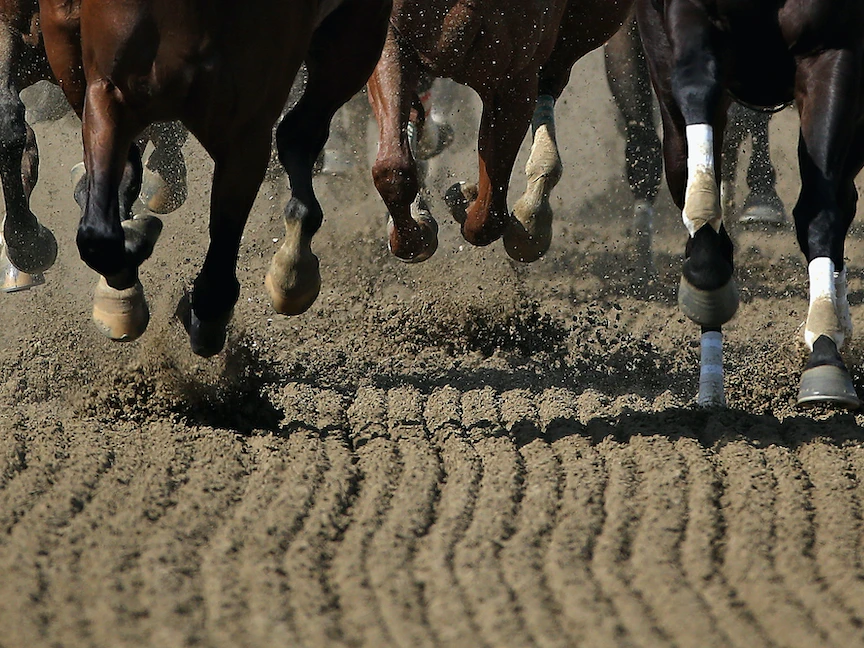 حوافر خيول أثناء سباق في ملعب "بيمليكو" في بالتيمور بولاية ماريلاند الأميركية. 15 مايو 2015 - Getty Images