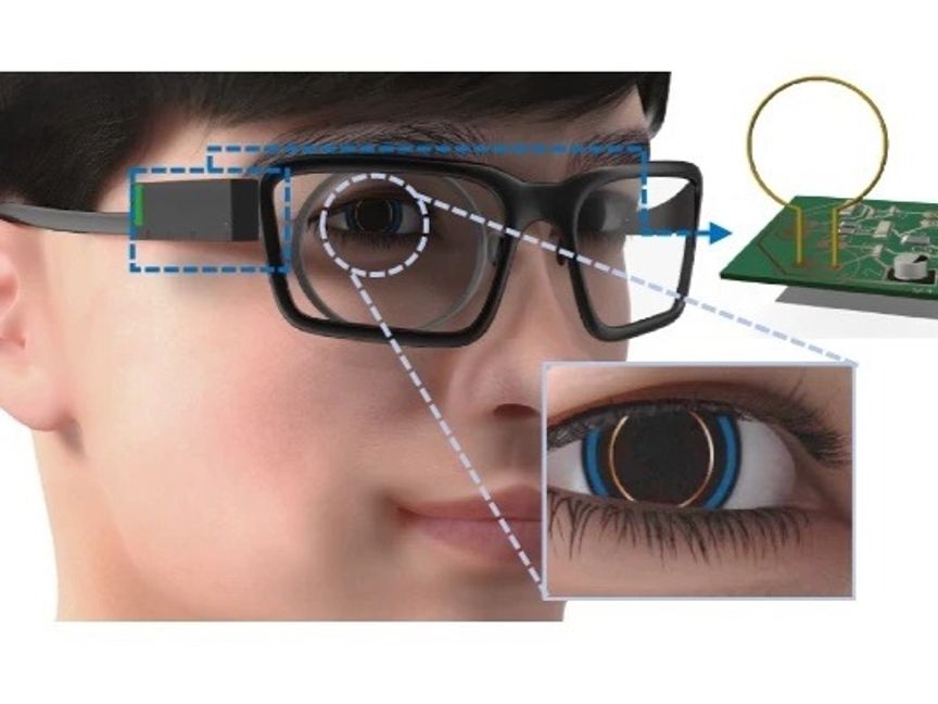 دراسة تكشف عن أمل جديد للوقاية من مرض الجلوكوما