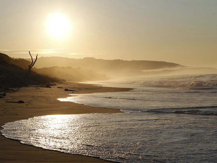 نيوزيلندا.. مستويات سطح البحر ترتفع بوتيرة أسرع من المتوقع