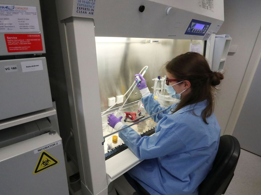 دراسة دولية تكشف فجوات مصداقية الأبحاث في العلوم الاجتماعية