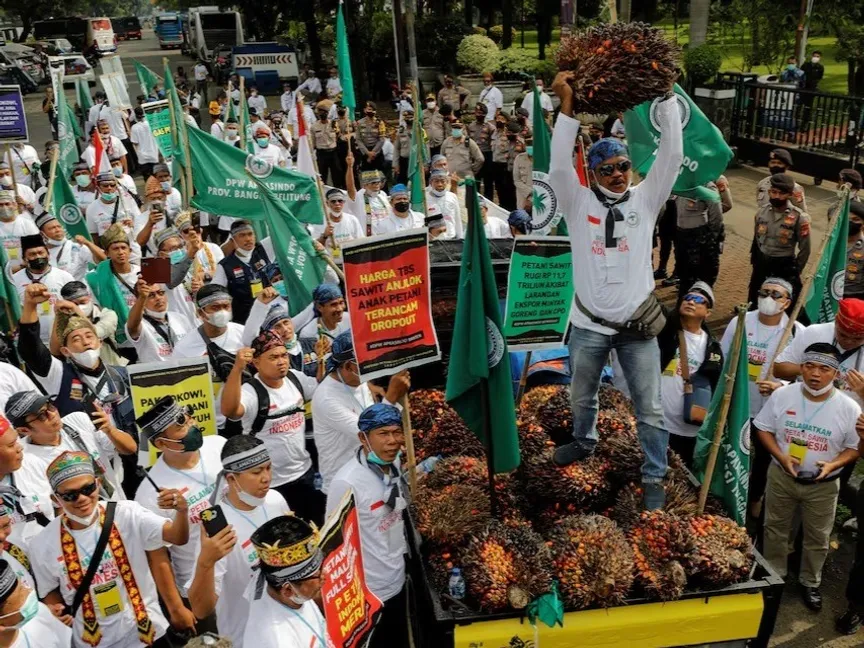 احتجاج سابق لمزارعين ضد حظر تصدير كان مفروضاً على زيت النخيل، جاكرتا، إندونيسيا. 17 مايو 2022 - Reuters
