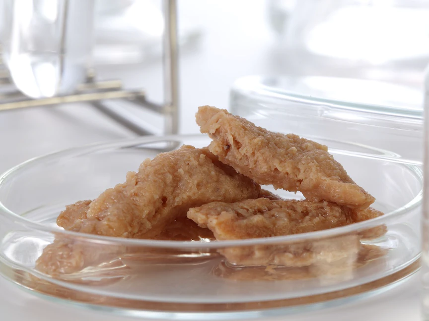 لحم دجاج مصنع مخبريا. - Getty