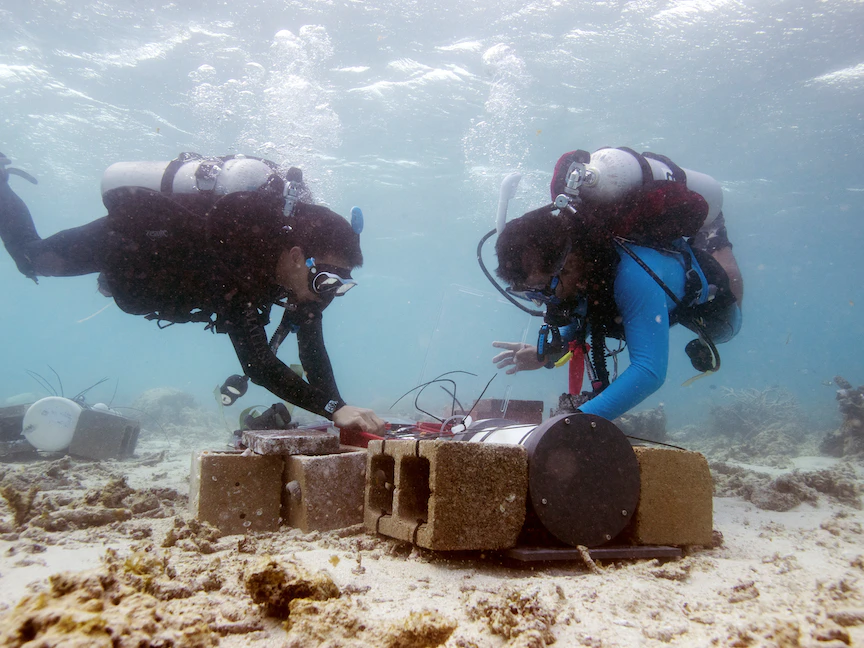 غواصان يغطسان قبالة ساحل كوينزلاند في أستراليا - REUTERS