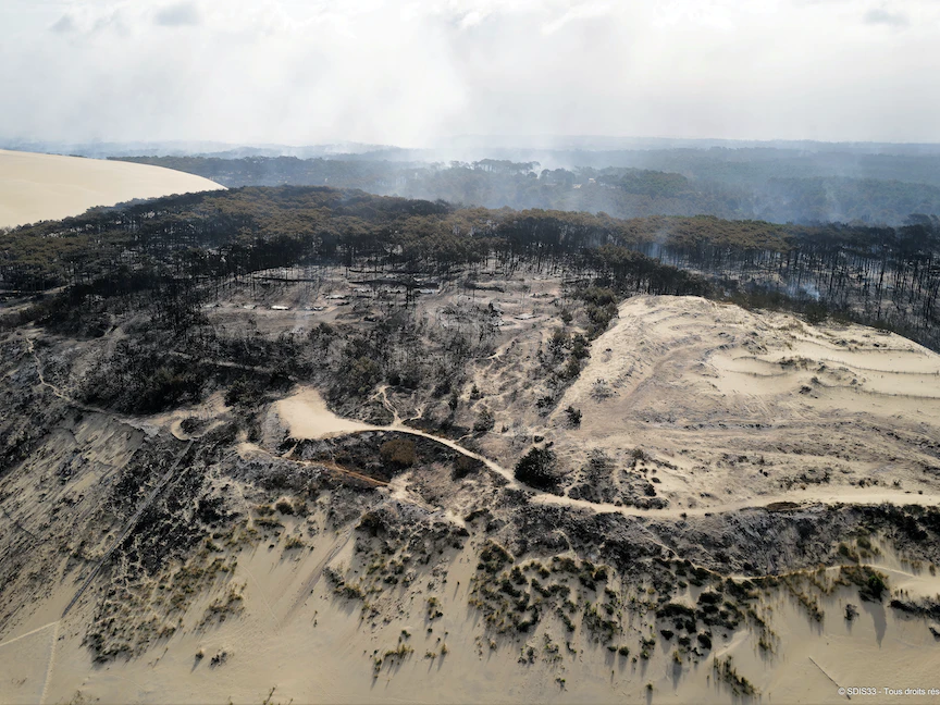 منظر يُظهر الأشجار والنباتات التي احترقت بالقرب من كثبان بيلات في منطقة جيروند بجنوب غرب فرنسا - 25 يوليو 2022 - REUTERS