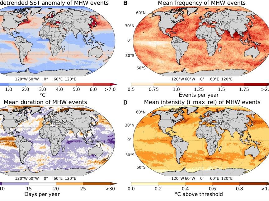دراسة طوال 4 عقود: موجات الحر البحرية تزيد قوة الأعاصير التدميرية