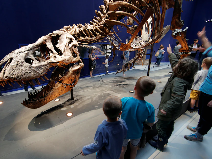 أطفال حول هيكل عظمي لديناصور عمره 67 مليون سنة في المتحف الوطني الفرنسي للتاريخ الطبيعي في باريس - 6 يونيو 2018 - REUTERS