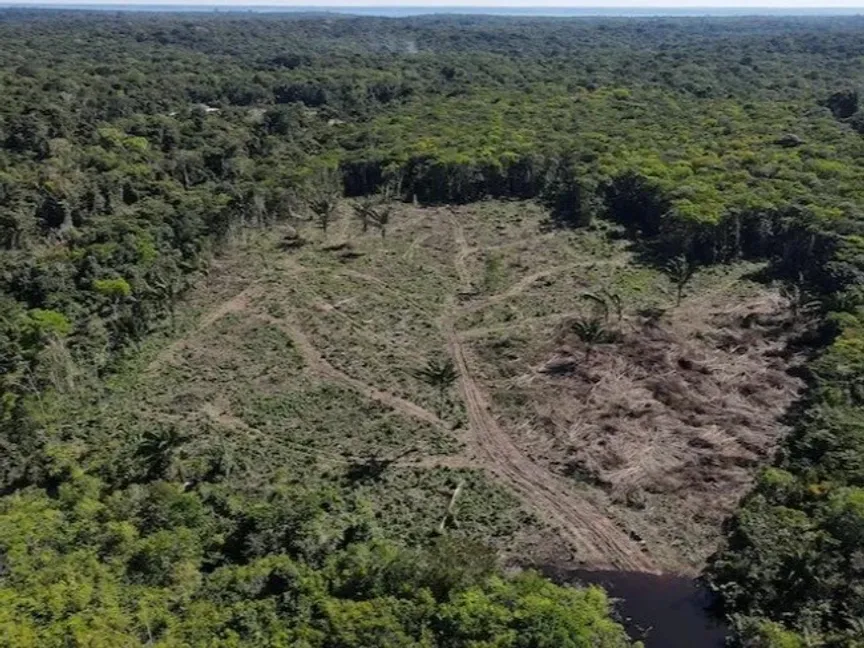 منظر جوي يُظهر قطعة أرض أزيلت منها الأشجار في غابات الأمازون المطيرة في أمازوناس، البرازيل، 8 يوليو 2022 - REUTERS