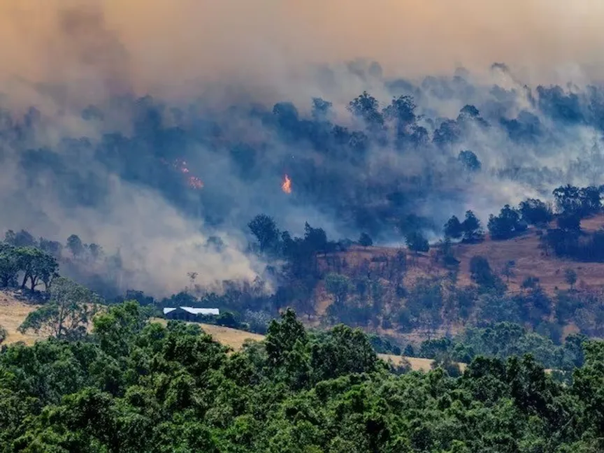 أستراليا.. موجة حارة  تؤجج حرائق الغابات وتقطع الكهرباء عن الآلاف