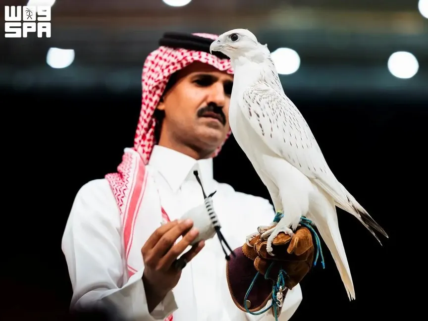 بيع صقر "سوبر وايت" في مزاد دولي بالسعودية بـ346 ألف دولار