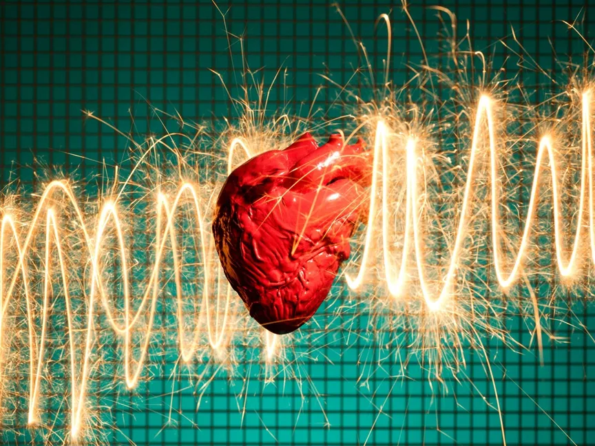 اكتشاف آلية لإنتاج الطاقة في الجسم تمهد لعلاج قصور القلب والنوبات