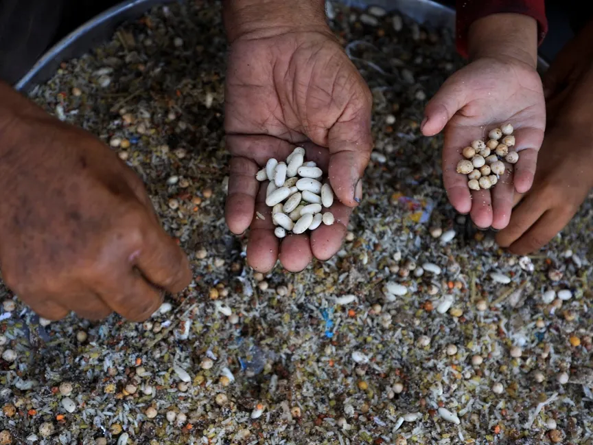 نازحون فلسطينيون فشلوا في العثور على مساعدات إنسانية يحاولون تنقية بقايا الطعام من بين التراب في غزة. 28 يوليو 2025 - REUTERS