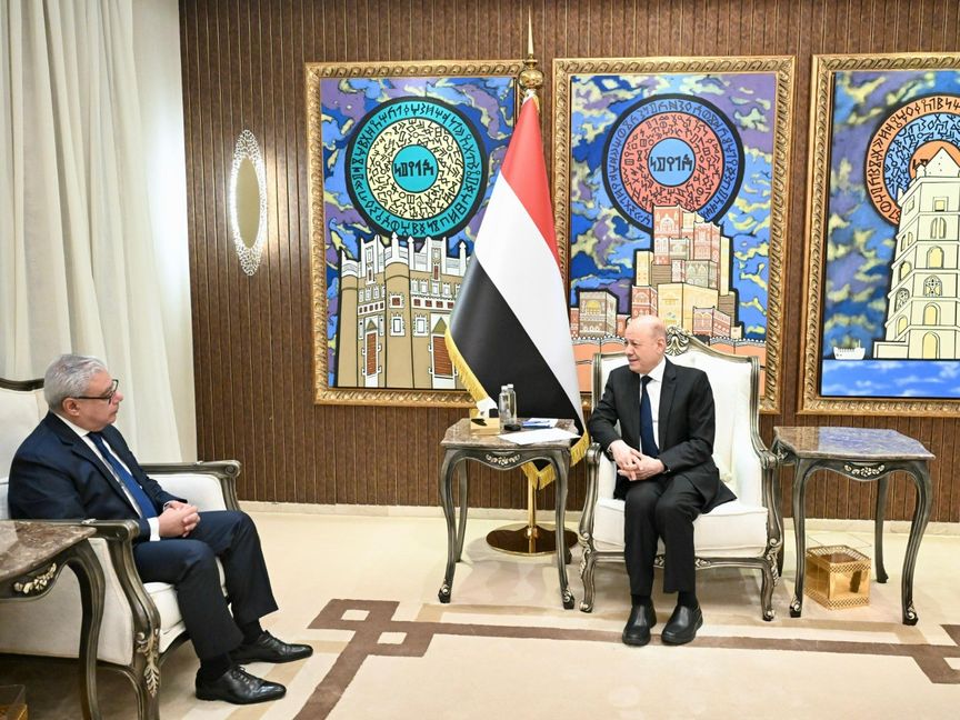 العليمي: إيران تسعى لمنح الحوثيين القدرة على التأثير في باب المندب