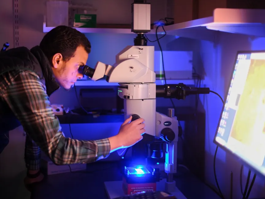 يؤثر الخرف بأنواعه بما في ذلك مرض ألزهايمر والخرف الوعائي على نحو 50 مليون شخص حول العالم - https://www.uvm.edu/graduate/cmb/profile/asser-bedair