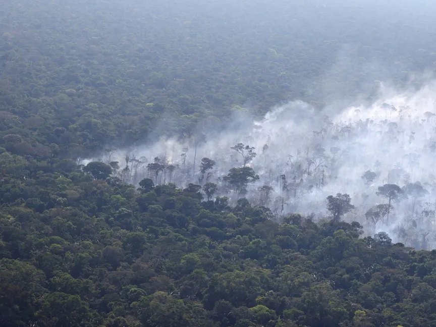 دخان يتصاعد من حريق أشجار وسط الغطاء النباتي في غابات الأمازون بالبرازيل. 3 أغسطس آب 2023 - REUTERS