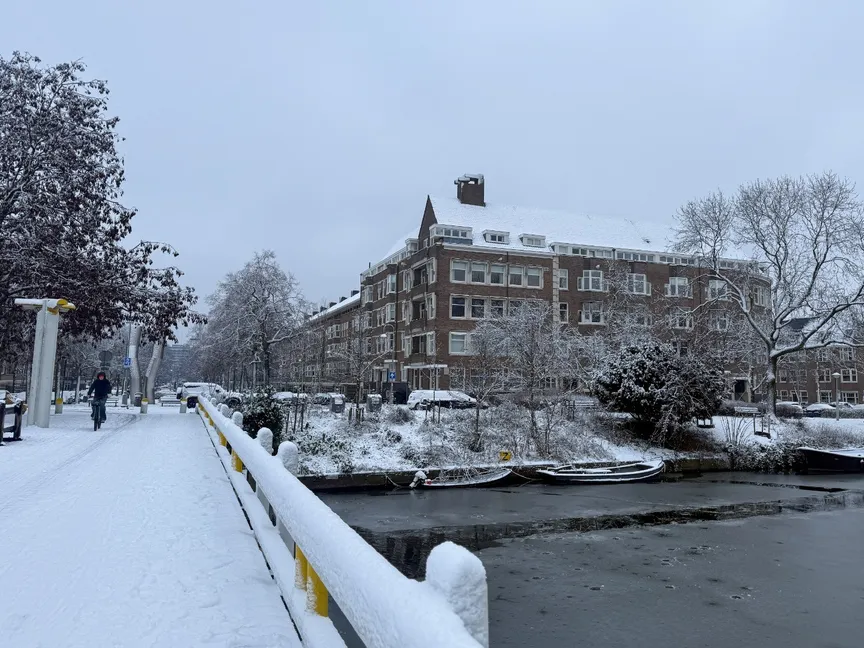 هولندا.. تساقط الثلوج يعطل حركة الطيران والقطارات والطرق