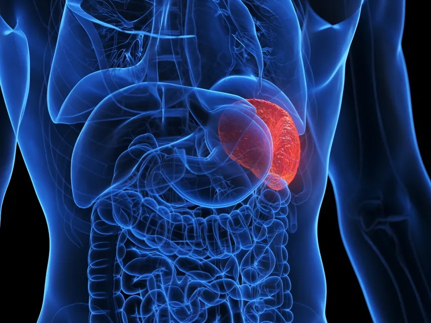 صورة تعبيرية لالتهاب الطحال. 6 سبتمبر 2023 - AFP