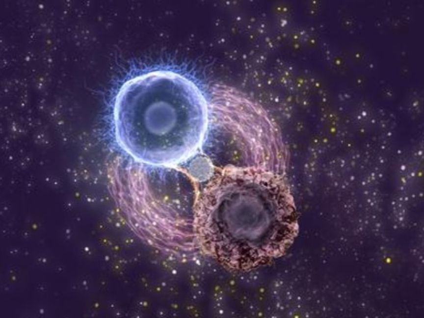 تقنية حيوية جديدة قد تعزز فعالية العلاج المناعي لسرطان الدم