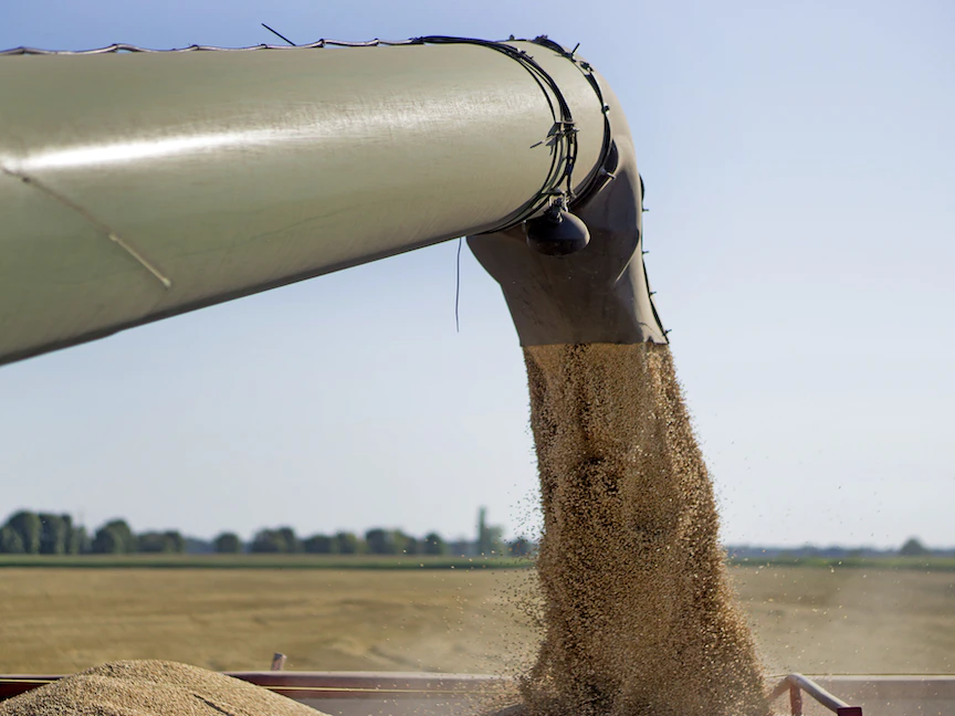 تساقط حبوب من حصّادة إلى شاحنة أثناء حصاد القمح في أوكرانيا - 10 أغسطس 2017 - Bloomberg