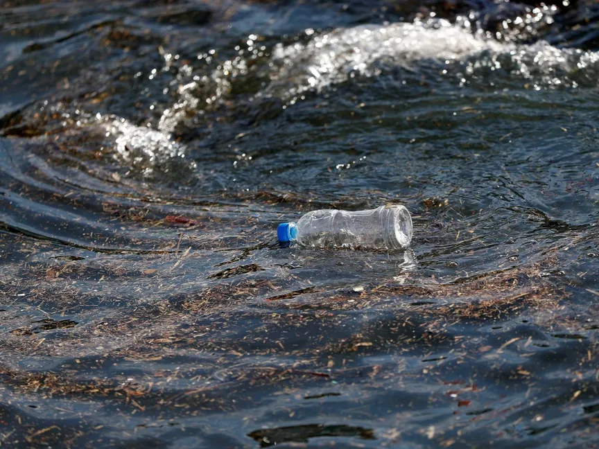 دراسة: جزيئات البلاستيك الدقيقة تهدد صحة البنكرياس