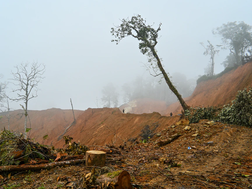 طريق حديث على قمة جبل في غابة محمية في جانثو بمقاطعة آتشيه الإندونيسية. 12 مارس 2023 - AFP