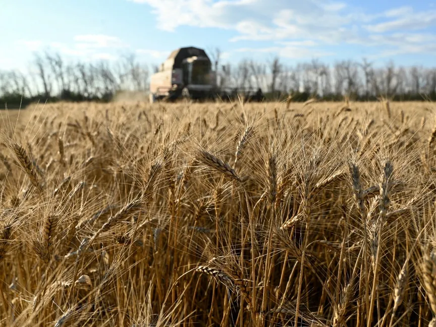 روسيا ترسل شحنة قمح إلى إيران عبر بحر قزوين لأول مرة منذ سنوات