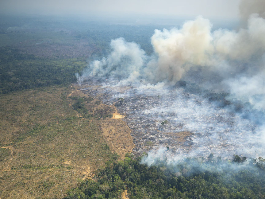 مستويات قياسية من الحرارة وحرائق الغابات في الأمازون الكولومبية