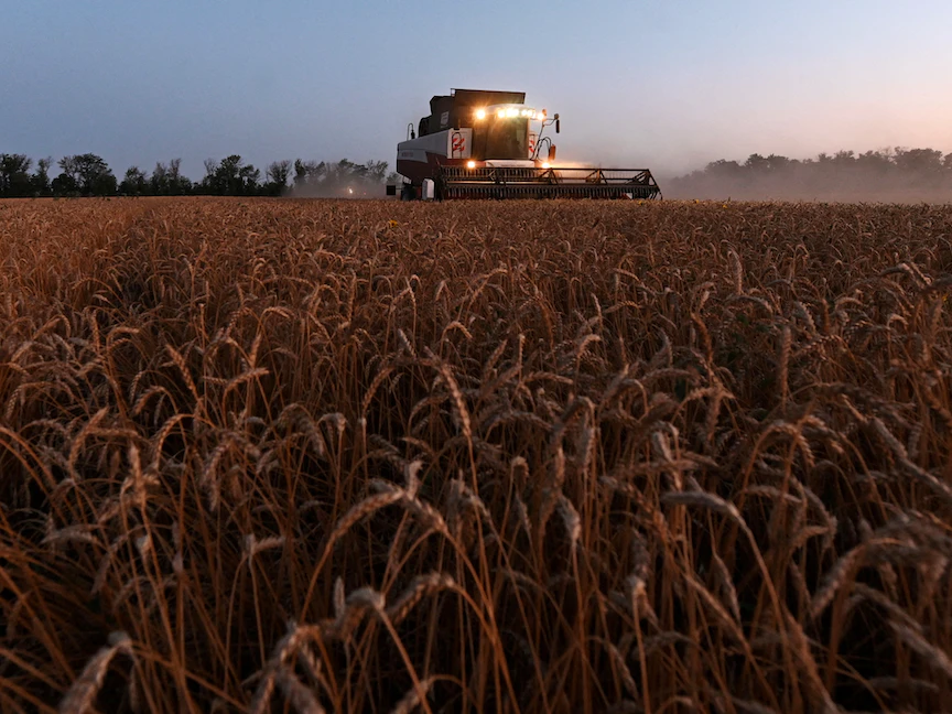 الأزمة الأوكرانية تربك إمدادات السلع الغذائية وترفع الأسعار