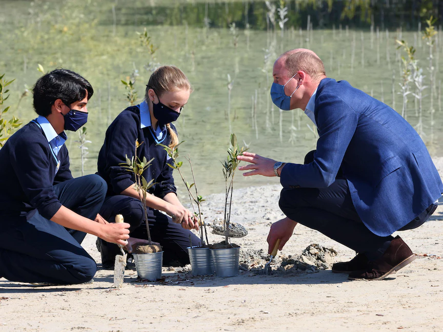 الأمير ويليام في منتزه القرم في العاصمة الإماراتية أبوظبي. 10 فبراير 2022 - AFP