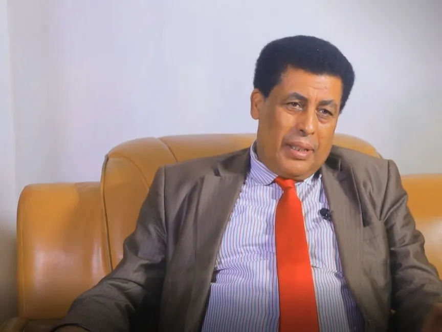 الناطق باسم الخارجية الإثيوبية دينا مُفتي - الشرق